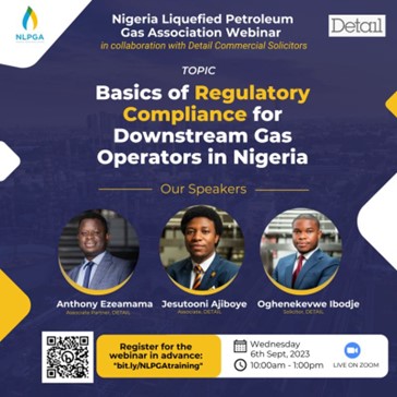 DETAIL Team were speakers at the Nigeria Liquefied Petroleum Gas Association (NLPGA) Webinar