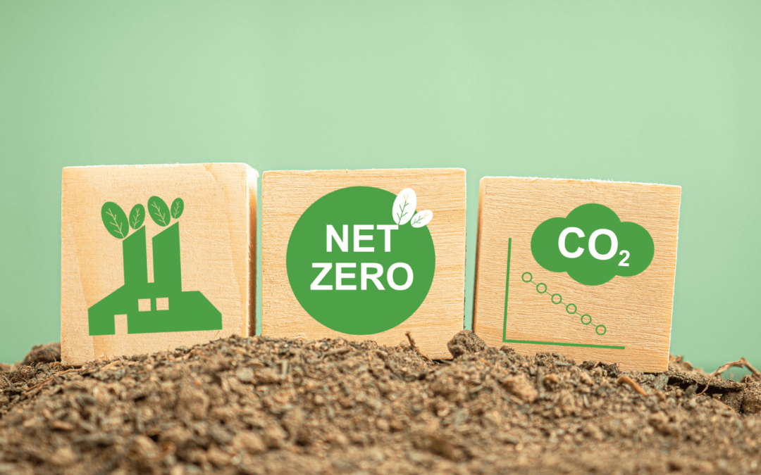 Analysis of Nigeria’s Draft National Carbon Market Framework