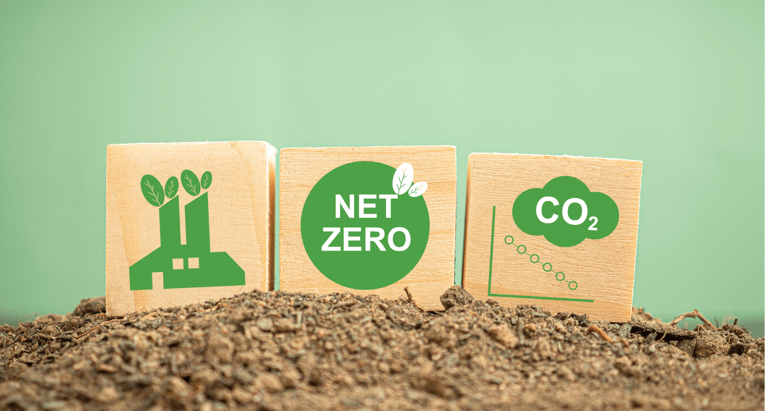 Analysis of Nigeria’s Draft National Carbon Market Framework